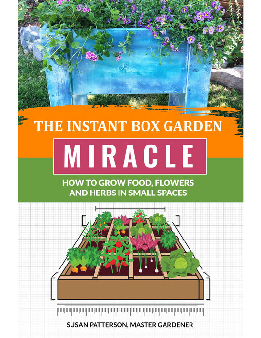 Mini Garden – Big Magic